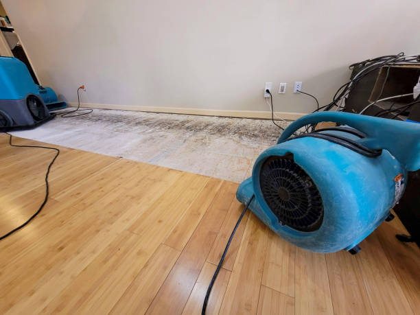 Professional Water Damage Repair technician working in Goldsboro, NC